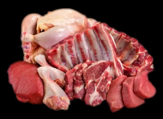 Fleisch