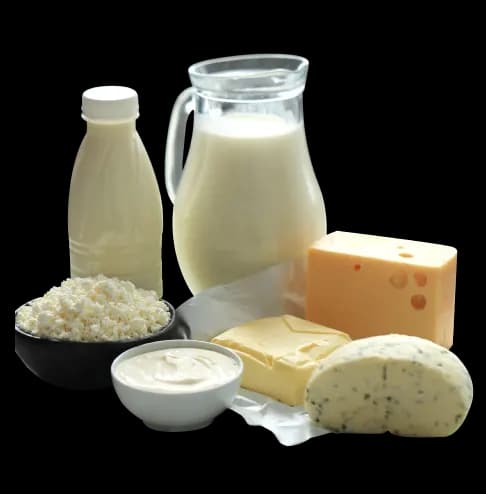 Milchprodukte